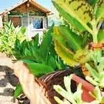 La Casetta Di Cenerentola Appartamento Marzamemi
