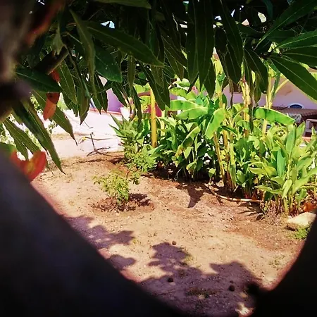 La Casetta Di Cenerentola