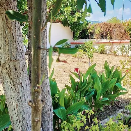 La Casetta Di Cenerentola