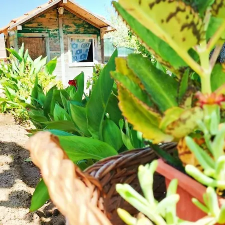 La Casetta Di Cenerentola 아파트 마르자메미